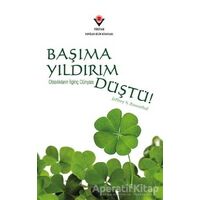 Başıma Yıldırım Düştü! - Jeffrey S. Rosenthal - TÜBİTAK Yayınları