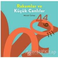 Rakamlar ve Küçük Canlılar - Murat Celep - İletişim Yayınevi