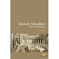 Tapınak Yahudileri - Rabia Mert - Eski Yeni Yayınları