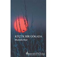 Küçük Bir Gökada - Mustafa Akar - Profil Kitap