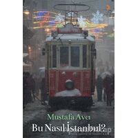 Bu Nasıl İstanbul? - Mustafa Avcı - Cinius Yayınları