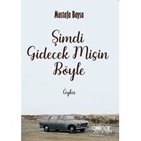 Şimdi Gidecek Misin Böyle - Mustafa Baysa - Gülnar Yayınları