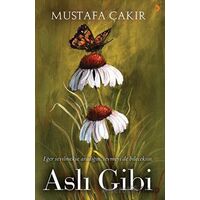 Aslı Gibi - Mustafa Çakır - Cinius Yayınları