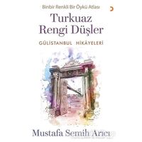 Turkuaz Rengi Düşler - Gülistanbul Hikayeleri - Mustafa Semih Arıcı - Cinius Yayınları
