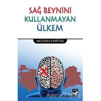 Sağ Beynini Kullanmayan Ülkem - Mustafa Yurttaş - Arı Sanat Yayınevi