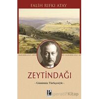 Zeytindağı - Günümüz Türkçesiyle - Falih Rıfkı Atay - Pozitif Yayınları
