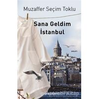 Sana Geldim İstanbul - Muzaffer Seçim Toklu - Epsilon Yayınevi