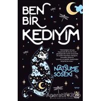 Ben Bir Kediyim - Natsume Soseki - Panama Yayıncılık