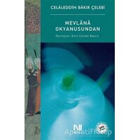 Mevlana Okyanusundan - Celaleddin Bakır Çelebi - Nefes Yayıncılık