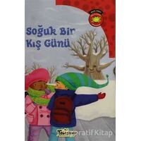 Soğuk Bir Kış Günü - Carl Emerson - Teleskop Popüler Bilim