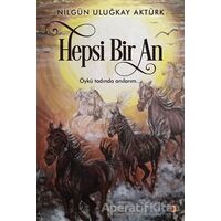 Hepsi Bir An - Nilgün Uluğkay Aktürk - Cinius Yayınları