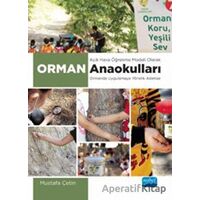 Açık Hava Öğrenme Modeli Olarak Orman Anaokulları -Ormanda Uygulamaya Yönelik Adımlar