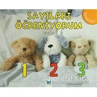 Sayıları Öğreniyorum - Evde - Rebecca Rissman - Mavi Kelebek Yayınları