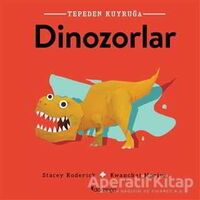 Dinozorlar - Tepeden Kuyruğa - Stacey Roderick - Domingo Yayınevi