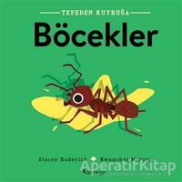 Böcekler - Tepeden Kuyruğa - Stacey Roderick - Domingo Yayınevi