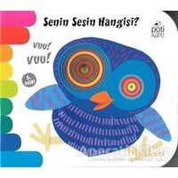 Senin Sesin Hangisi? - Delikli Kitaplar Serisi - Kolektif - Pötikare Yayıncılık