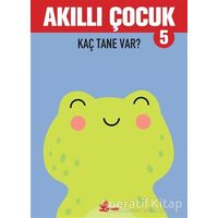 Kaç Tane Var? - Akıllı Çocuk 5 - Kolektif - Çınar Yayınları