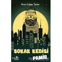 Sokak Kedisi Pamir - Arzu Eylem Turan - Boramir Yayınları