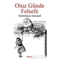 Otuz Günde Felsefe - Dominique Janicaud - BilgeSu Yayıncılık