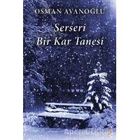 Serseri Bir Kar Tanesi - Osman Avanoğlu - Cinius Yayınları