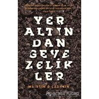 Yeraltından Gevezelikler - Mairtin O Cadhain - Aylak Adam Kültür Sanat Yayıncılık