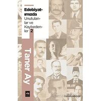 Edebiyatımızda Unutulanlar ve Kaybedenler 2 - Taner Ay - Ötüken Neşriyat