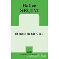 Efendiden Bir Uşak - Hatice Seçim - Mitos Boyut Yayınları