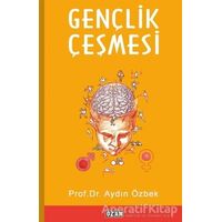 Gençlik Çeşmesi - Aydın Özbek - Ozan Yayıncılık