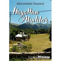 Hayattan Alıntılar - Müceddün Yalduz - Pamiray Yayınları