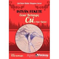 Cesur Kırlangıç Csi ve Diğer Öyküler - Istvan Fekete - Pamiray Yayınları