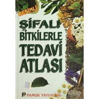 Şifalı Bitkilerle Tedavi Atlası (Bitki-009 / P23) - Geo Kırılov Neşev - Pamuk Yayıncılık