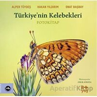 Türkiye’nin Kelebekleri - Onat Başbay - Vakıfbank Kültür Yayınları