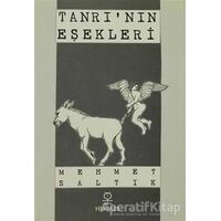 Tanrı’nın Eşekleri - Mehmet Saltık - Hermes Yayınları