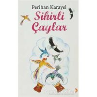 Sihirli Çaylar - Perihan Karayel - Cinius Yayınları