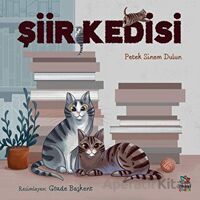 Şiir Kedisi - Petek Sinem Dulun - İthaki Çocuk Yayınları