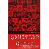 Şehitler Ölmez - Recep Küçükizsiz - Bilgeoğuz Yayınları