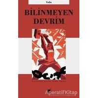 Bilinmeyen Devrim - Volin - Ayrıntı Yayınları