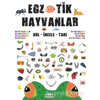 Egzotik Hayvanlar - Kolektif - Teleskop Popüler Bilim