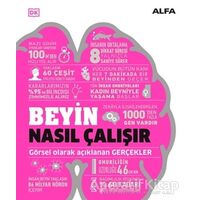 Beyin Nasıl Çalışır - Kolektif - Alfa Yayınları