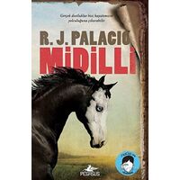 Midilli - R. J. Palacio - Pegasus Yayınları