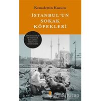 İstanbulun Sokak Köğpekleri - Kemalettin Kuzucu - Kapı Yayınları
