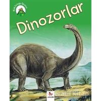 Minik Kurbağa Öğretiyor - Dinozolar - Annabelle Lynch - Almidilli