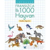 Larousse Fransızca İlk 1000 Hayvan - Kolektif - Mavi Kelebek Yayınları