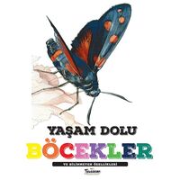 Yaşam Dolu Böcekler ve Bilinmeyen Özellikleri - Kolektif - Teleskop Popüler Bilim