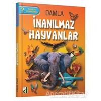 Damla - İnanılmaz Hayvanlar - Kolektif - Damla Yayınevi