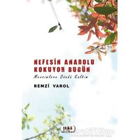 Nefesin Anadolu Kokuyor Bugün - Remzi Varol - Tilki Kitap