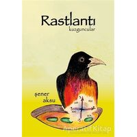 Rastlantı - Şener Aksu - Aydili Sanat Yayınları