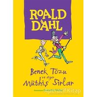 Benek Tozu ve Diğer Müthiş Sırlar - Roald Dahl - Can Çocuk Yayınları