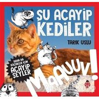 Daha da Küçükler İçin Şu Acayip Kediler - Daha da Küçükler İçin Acayip Şeyler 1