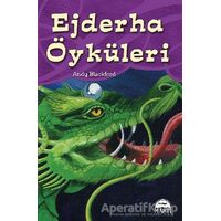 Ejderha Öyküleri - Andy Blackford - Martı Yayınları